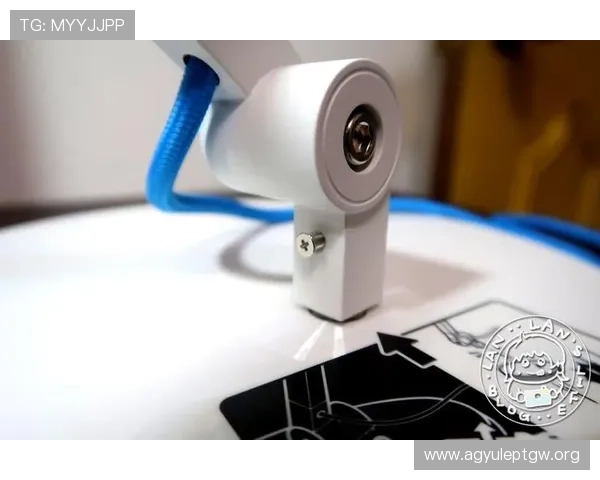 wm视讯官网最新平台介绍与安全保障全面解析让你轻松体验高品质线上娱乐体验