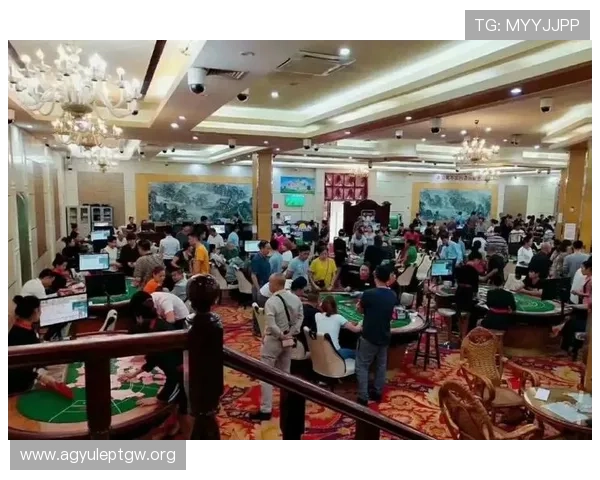 腾龙娱乐真人发牌平台最新优惠活动让你玩得尽兴赢得更多奖励