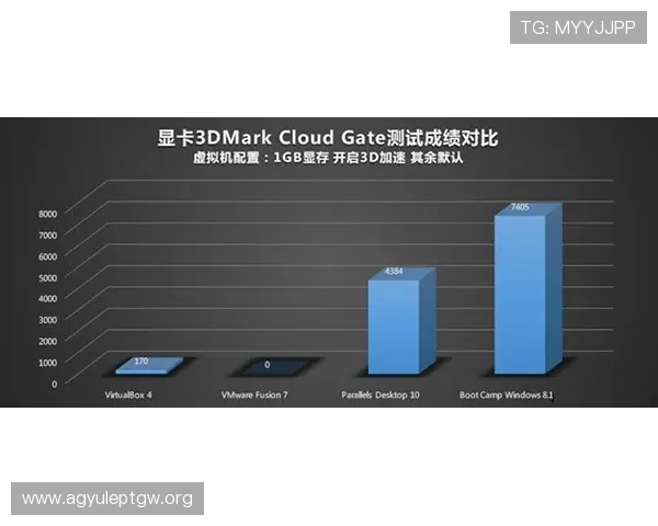 解析ag手机亚游官网不同版本的功能差异与选择建议