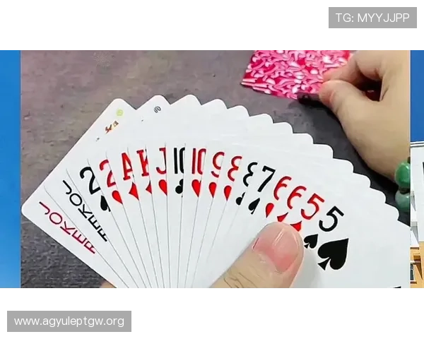 博乐真人官网网站多样化的真人娱乐游戏推荐，满足不同玩家的娱乐需求和偏好